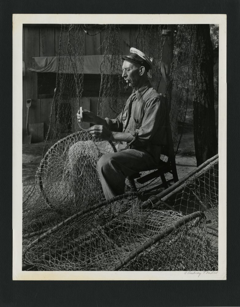 Click for larger image